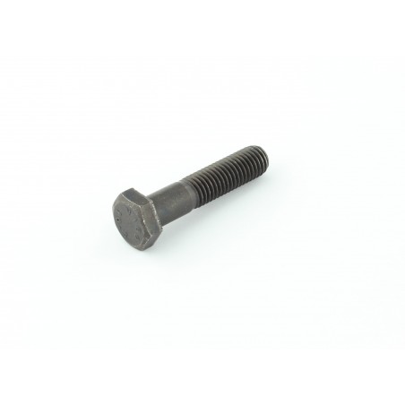 VIS HEXAGONALE M12X55/3