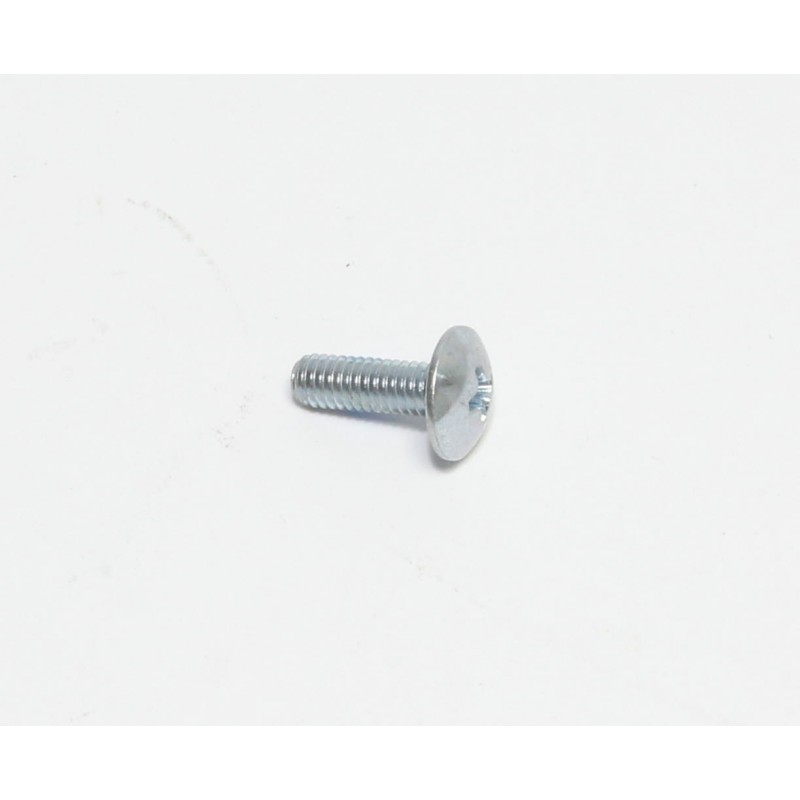 VIS, TRS, M4 X 0.70 X 12, PHL, PL POUR AUTOLAVEUSE TENNANT